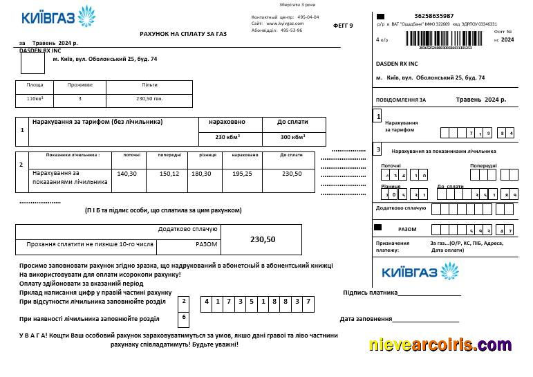 Ukraine KievGaz business utility bill